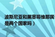 波斯尼亚和黑塞哥维那属于欧盟吗（波斯尼亚和黑塞哥维那是两个国家吗）