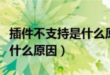 插件不支持是什么原因造成的（插件不支持是什么原因）