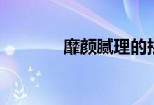 靡颜腻理的拼音（靡颜腻理）