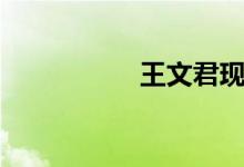 王文君现状（王文君）