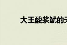大王酸浆鱿的天敌（大王酸浆鱿）