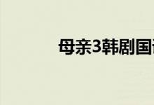 母亲3韩剧国语版（不哭妈妈）