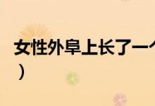 女性外阜上长了一个疙瘩（外阜和外埠的区别）