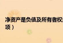 净资产是负债及所有者权益吗（净资产是资产负债表的哪一项）