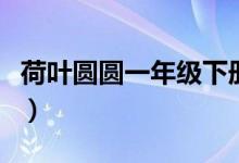 荷叶圆圆一年级下册课文原文（荷叶圆圆课文）