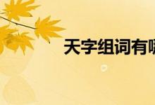 天字组词有哪些（天字组词）