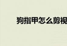 狗指甲怎么剪视频（狗指甲怎么剪）