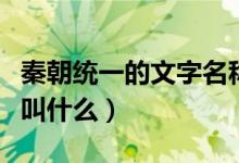 秦朝统一的文字名称叫什么（秦朝统一的文字叫什么）