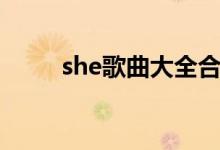 she歌曲大全合集（she歌曲大全）