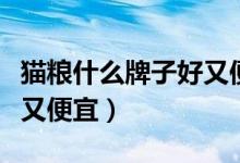 猫粮什么牌子好又便宜推荐（猫粮什么牌子好又便宜）