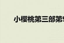 小樱桃第三部第9集（小樱桃第三部）