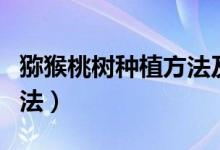 猕猴桃树种植方法及介绍（猕猴桃树的种植方法）