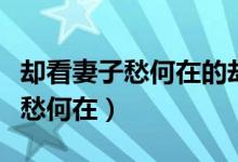 却看妻子愁何在的却看是什么意思（却看妻子愁何在）