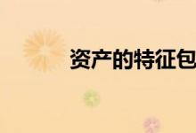 资产的特征包括（资产的特征）