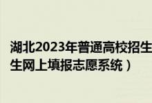 湖北2023年普通高校招生网上填报志愿草表（湖北省高校招生网上填报志愿系统）