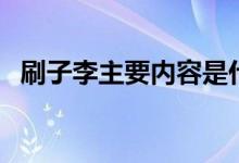 刷子李主要内容是什么（刷子李主要内容）