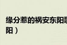 缘分惹的祸安东阳歌曲视频（缘分惹的祸安东阳）