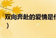 双向奔赴的爱情是什么感觉（爱情是什么感觉）