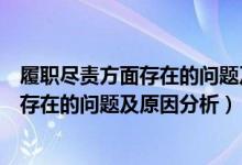 履职尽责方面存在的问题及整改措施有哪些（履职尽责方面存在的问题及原因分析）