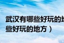 武汉有哪些好玩的地方适合年轻人（武汉有哪些好玩的地方）