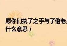 愿你们执子之手与子偕老是什么意思（执子之手与子偕老是什么意思）