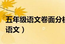 五年级语文卷面分析与总结（五年级卷面分析语文）