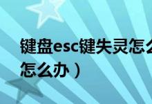 键盘esc键失灵怎么办解决（键盘esc键失灵怎么办）