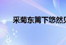 采菊东篱下悠然见南山（采菊东篱下）