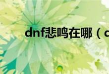 dnf悲鸣在哪（dnf尘封的悲鸣套装）