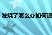 发烧了怎么办如何退烧小孩（发烧了怎么办）