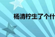 杨清柠生了个什么（杨清柠的孩子）