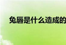 兔唇是什么造成的(兔唇是怎么形成的)
