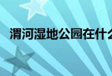 渭河湿地公园在什么地方（渭河湿地公园）
