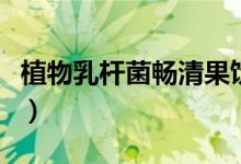 植物乳杆菌畅清果饮可以减肥吗（植物乳杆菌）