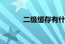二级缓存有什么用（二级缓存）