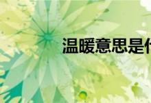 温暖意思是什么（温暖意思）