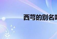 西芎的别名叫蒿本吗（西芎）