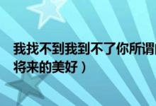 我找不到我到不了你所谓的爱（我找不到我到不了你所谓的将来的美好）