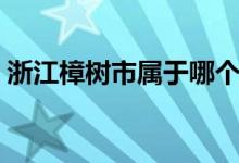 浙江樟树市属于哪个市（樟树市属于哪个市）