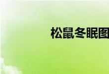 松鼠冬眠图片（松鼠冬眠）