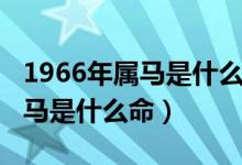 1966年属马是什么命五行属什么（1966年属马是什么命）