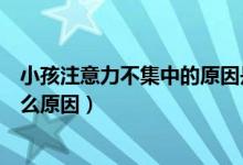小孩注意力不集中的原因是什么（小孩子注意力不集中是什么原因）