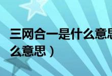 三网合一是什么意思网络用语（三网合一是什么意思）