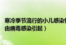 寒冷季节流行的小儿感染性腹泻（寒冷季节的婴幼儿腹泻( ) 由病毒感染引起）