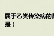 属于乙类传染病的是什么（属于乙类传染病的是）