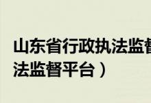 山东省行政执法监督平台登录(山东省行政执法监督平台)