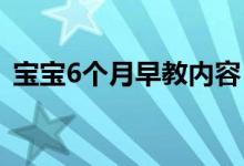 宝宝6个月早教内容（六个月宝宝早教内容）