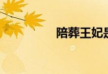 陪葬王妃是神医（陪葬）