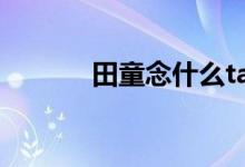 田童念什么tan（田童念什么）
