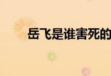 岳飞是谁害死的（岳飞是怎么死的）